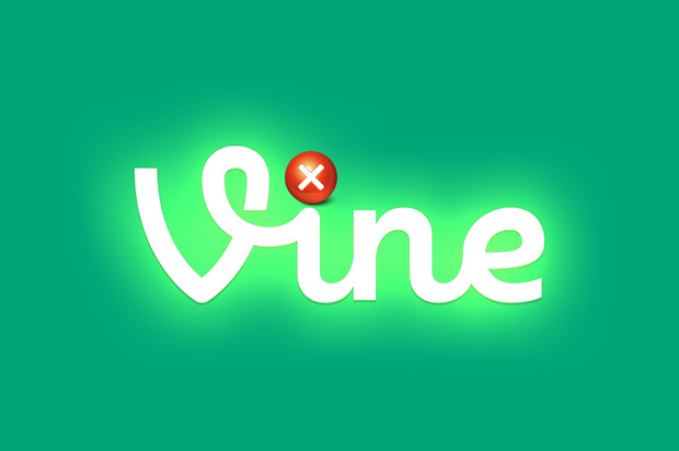 vine